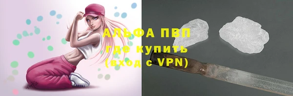 a pvp Коряжма
