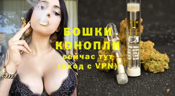 mdpv Костерёво