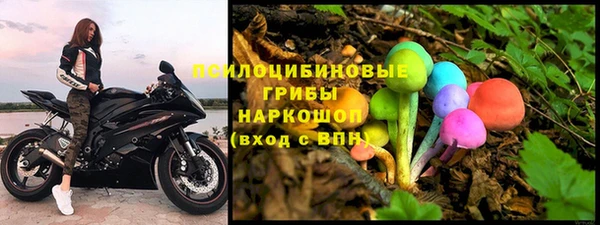 PSILOCYBIN Братск
