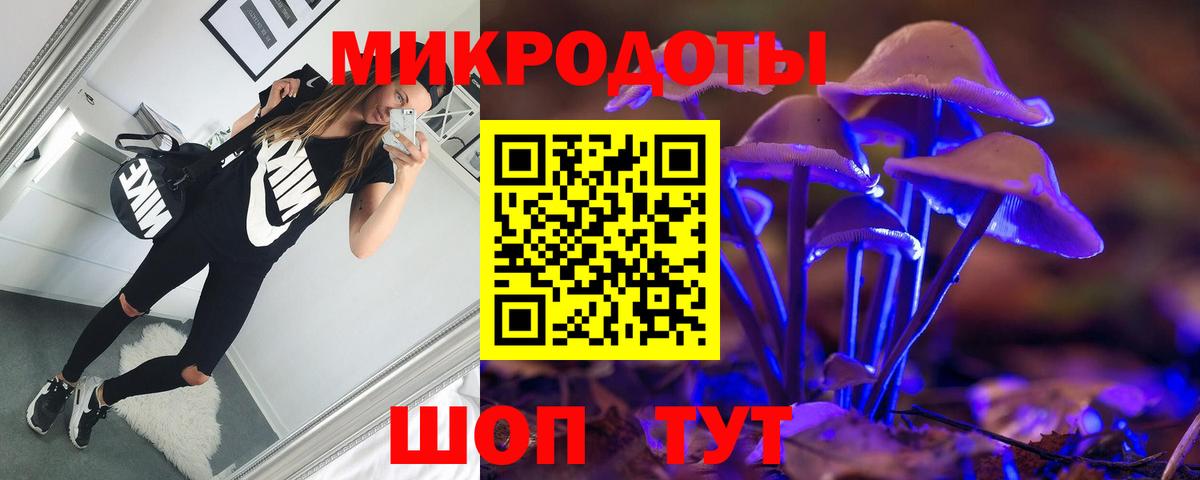 Галлюциногенные грибы GOLDEN TEACHER  Морозовск  Галлюциногенные грибы Psilocybe 